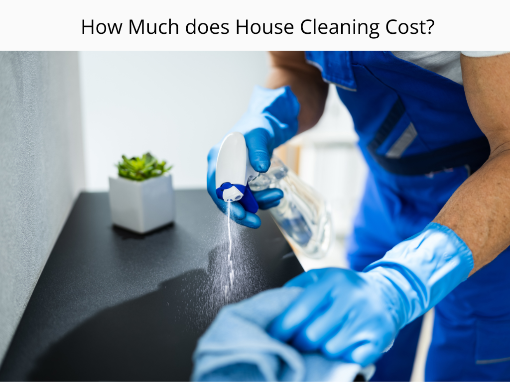 How Much Does House Cleaning Cost Amenify